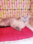 Carmela
