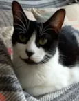 FILÓ