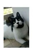 FILÓ