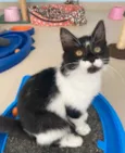 Barbara