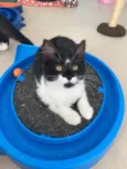 Barbara