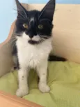 Barbara