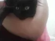 Bigode