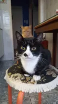 Tom