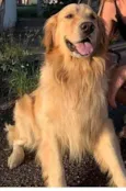 Kevin (Zé)