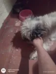 Zuu