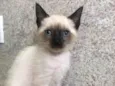 Bruninho 