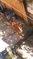 Toto