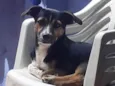 Tooby
