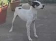 Kalunga