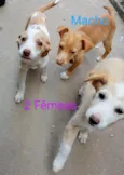 Não possui nome aind