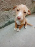 Não possui nome aind