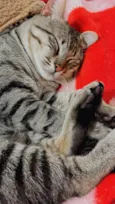 Mimi 