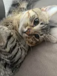 Mimi 