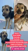 Princesa