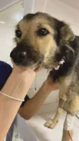Princesa
