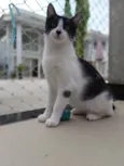 Maggie