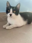 Maggie