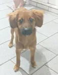 Francisco