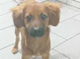 Francisco