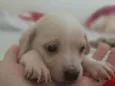 Sem nomes definidos