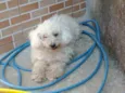 Billy