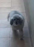 Tony