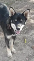 Billy 