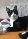 Margô 