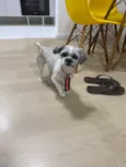 Luck