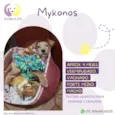 Cachorro raça Srd idade 2 a 6 meses nome Mykonos 