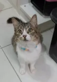 BENEDITA