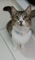 BENEDITA