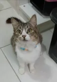 BENEDITA
