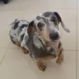 NUB