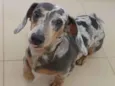 NUB