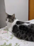 Mariola