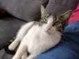Mariola