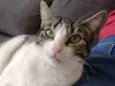 Mariola