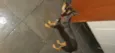 Shitara