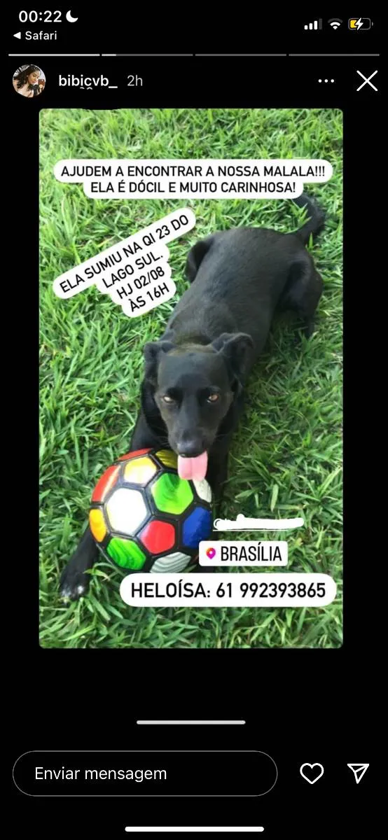 Cachorro ra a SRD idade 2 anos nome Malala