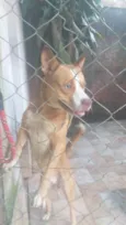 Hugo