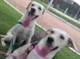 Dimi e sofia