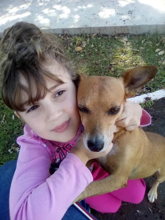 Cachorro ra a Vira lata idade 5 anos nome Lindinha