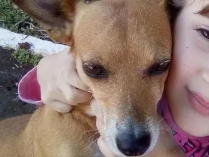 Cachorro raça Vira lata idade 5 anos nome Lindinha