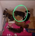 Não tem nome
