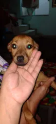 Sem nome