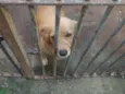 lumena