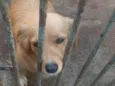 lumena