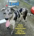 Lord